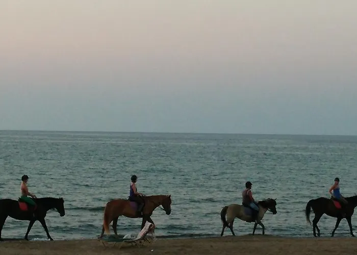 Sandy Beach Paralia Kourna photo
