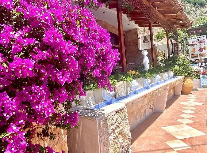 Costas Inn Spilion photo